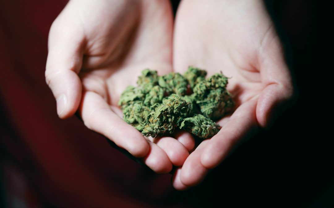 In Indiana, ‘safe and regulated’ marijuana is what voters want